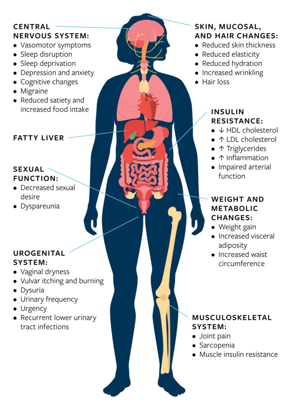 التغيرات الجسدية الشائعة المرتبطة بمرحلة الانتقال إلى سن انقطاع الطمث